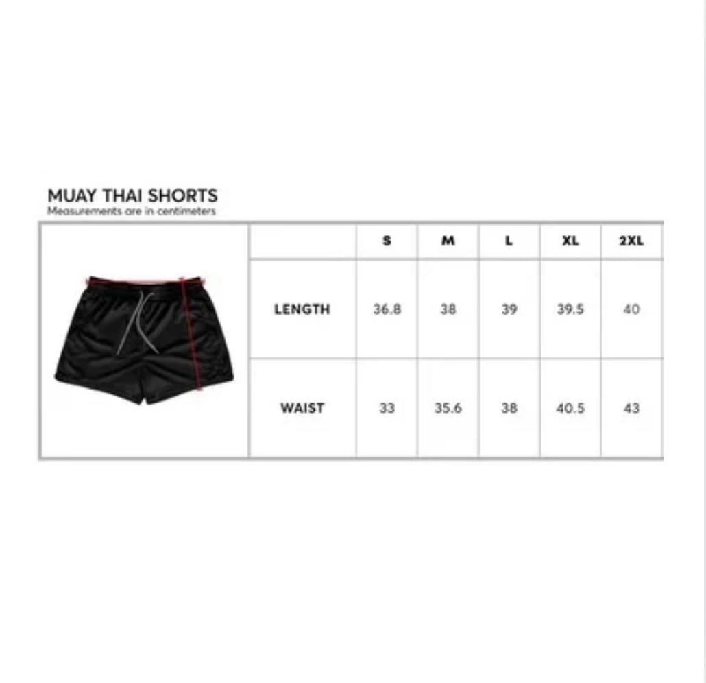 Black Leopard Print DOW Mesh Shorts