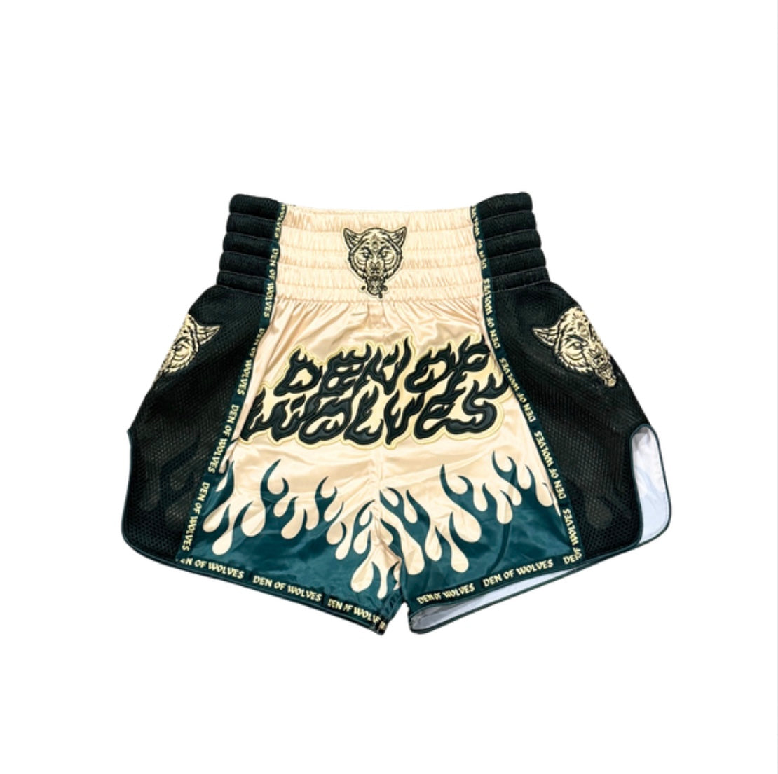 Flames DOW Turquoise Muay Thai Shorts