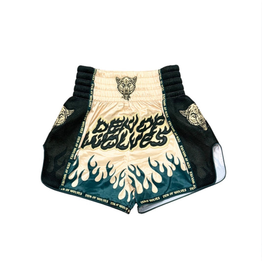 Flames DOW Turquoise Muay Thai Shorts